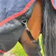 RK Regendeken Normal Neck 1200 D
